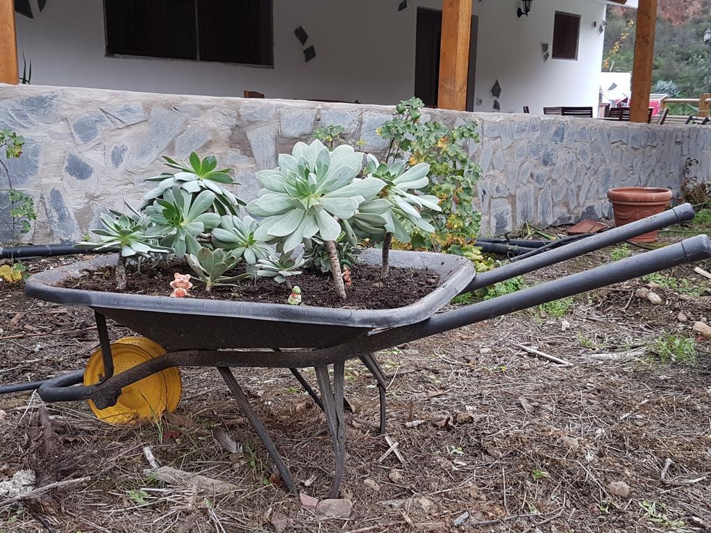 Casa Rural La Hoyita De Tunte San Bartolomé 外观 照片