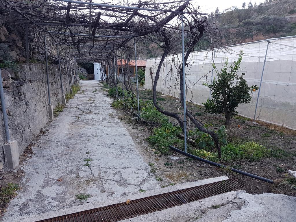 Casa Rural La Hoyita De Tunte San Bartolomé 外观 照片