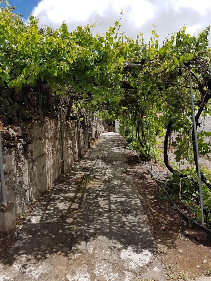 Casa Rural La Hoyita De Tunte San Bartolomé 外观 照片