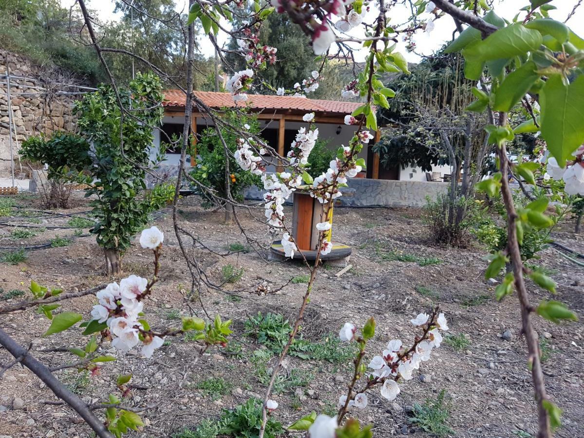 Casa Rural La Hoyita De Tunte San Bartolomé 外观 照片