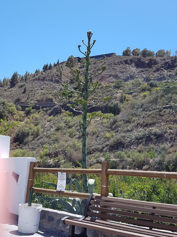 Casa Rural La Hoyita De Tunte San Bartolomé 外观 照片
