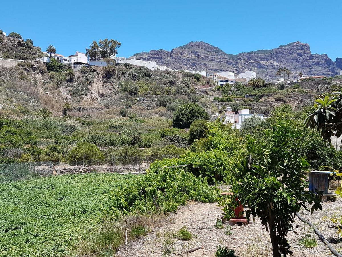 Casa Rural La Hoyita De Tunte San Bartolomé 外观 照片