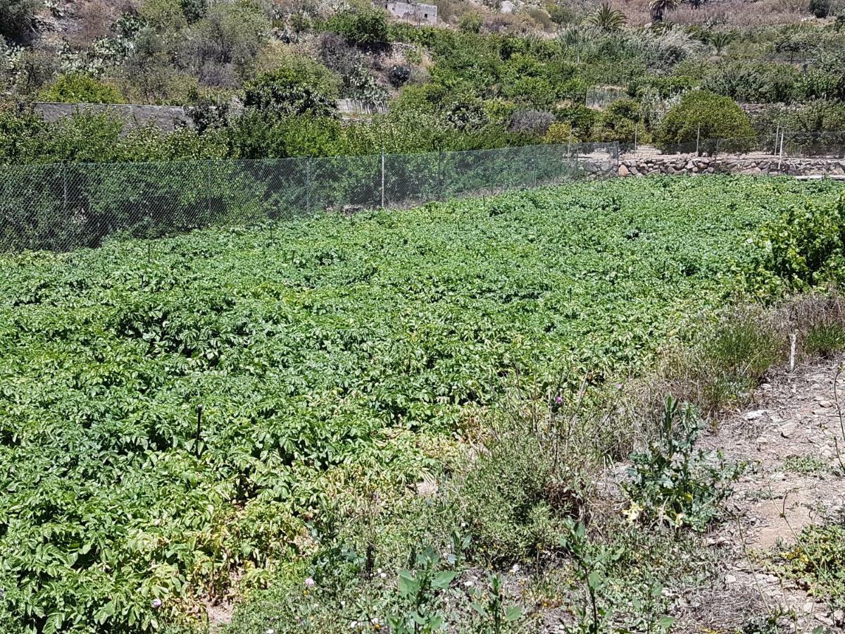 Casa Rural La Hoyita De Tunte San Bartolomé 外观 照片